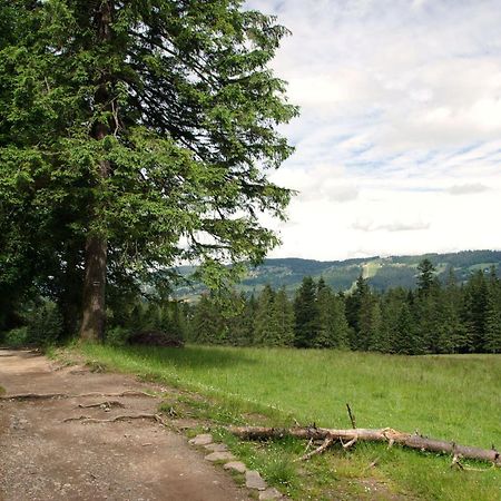 Domek Sekret Zakopane Exteriör bild