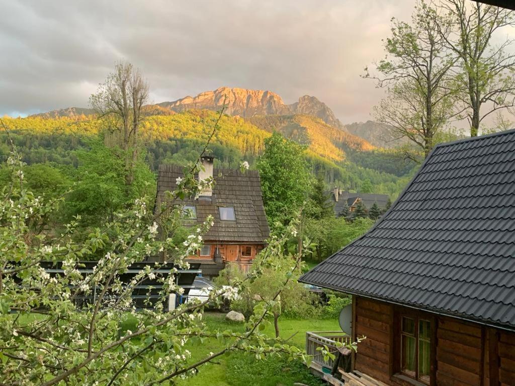 Domek Sekret Zakopane Exteriör bild