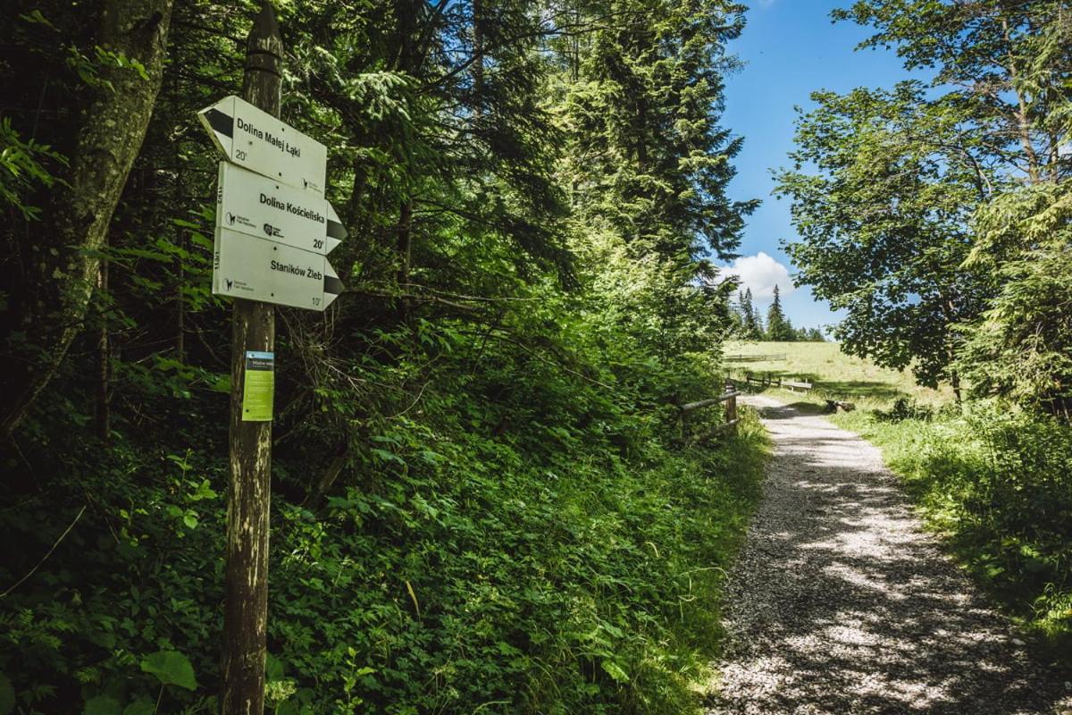 Domek Sekret Zakopane Exteriör bild